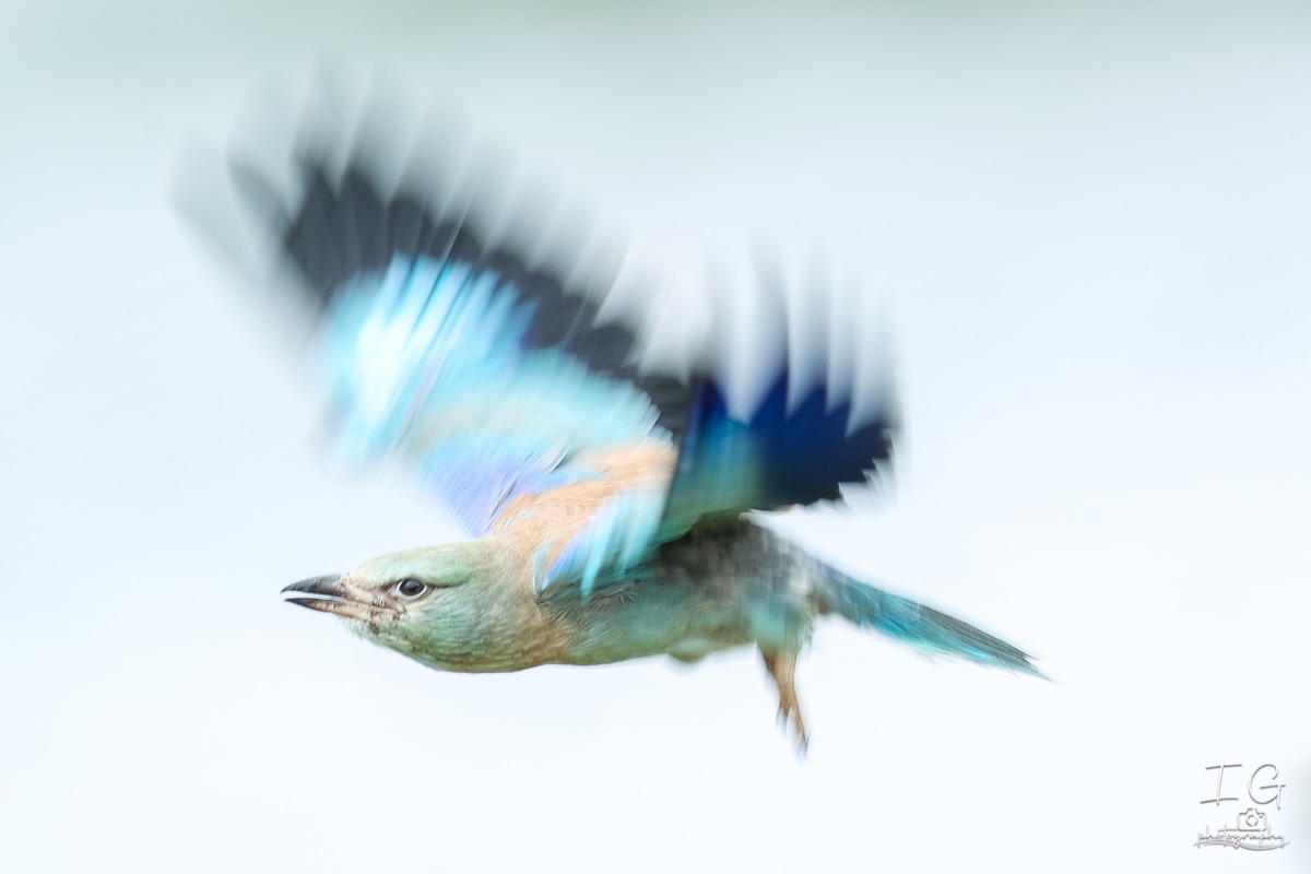 20211023 AK6I0045 insta